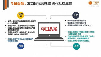 IT桔子Q2创投观察 伪共享神话破灭，头部公司垄断资金流向